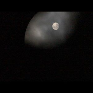 Meet your Posher, Caleb